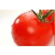 Rote_Tomate