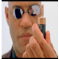 Leongrie