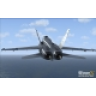 FSX