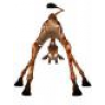 Giraffenlippe