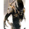 Xenomorph