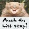 ShadeSkulker