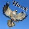 Hawk1980