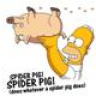 SpiderPig