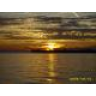 sunny2105