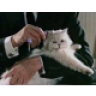 blofeld