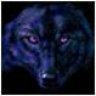 WildWolf