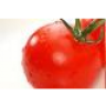 Rote_Tomate