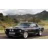 ROYA_RACING