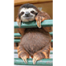 Mr. Sloth