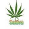 Sativa