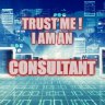 IT-Consultant