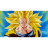 ssj3rd/2nd