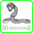 flatworm