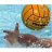 Waterpolo