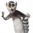 KingJulien