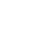 Lion10