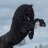 Blackhorse79